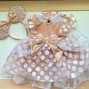 Rose Gold Minnie Mouse Dress Up